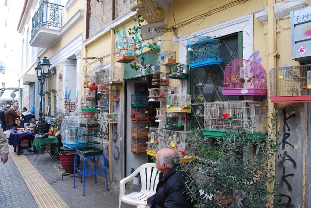 Stylish, Basement Studio With Roof Top Access - Ep9B Atenas Exterior foto